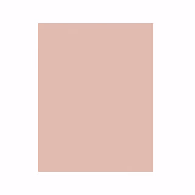 5MIC 3M261X SHEET 8.5X11